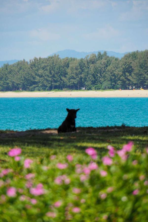 Ideo Phuket Hotel - Sha Extra Plus Nai Yang Luaran gambar
